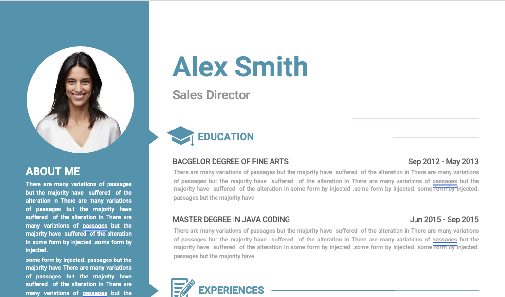 Sales Leadership CV Template1